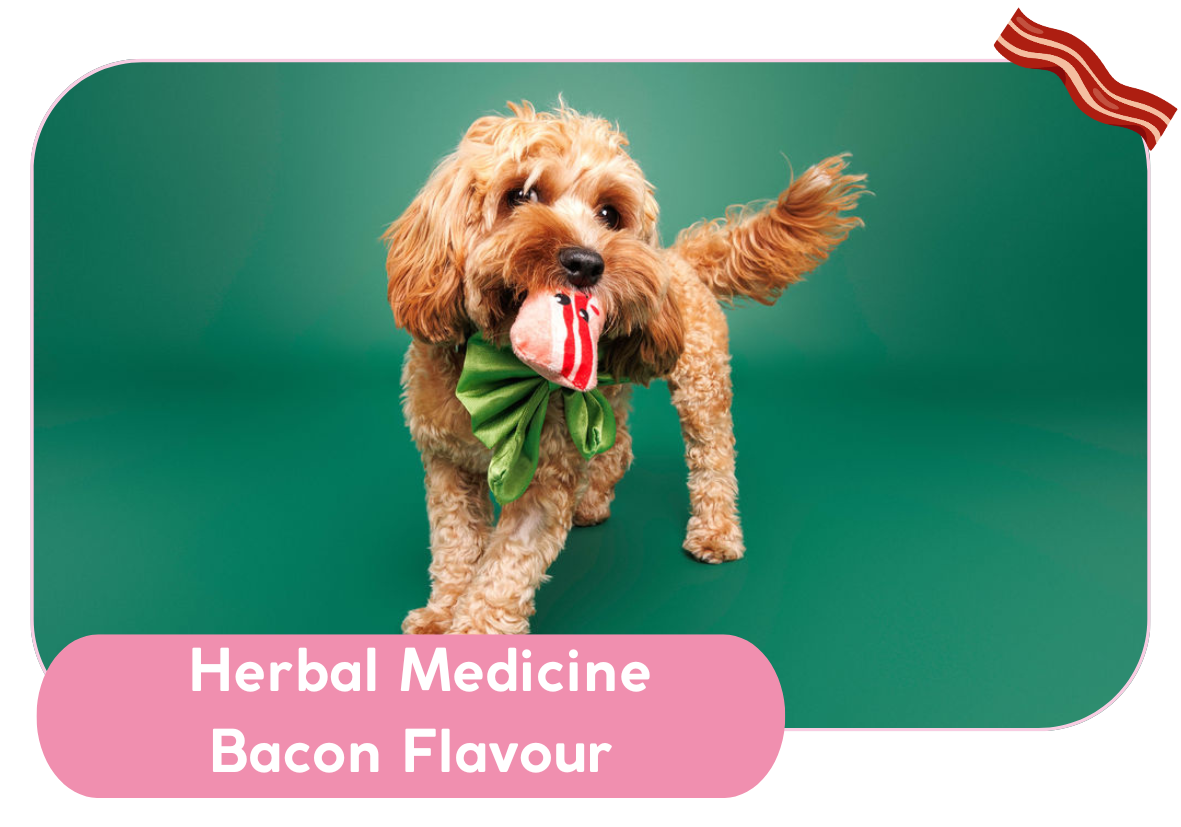 Herbal remedies for dogs online